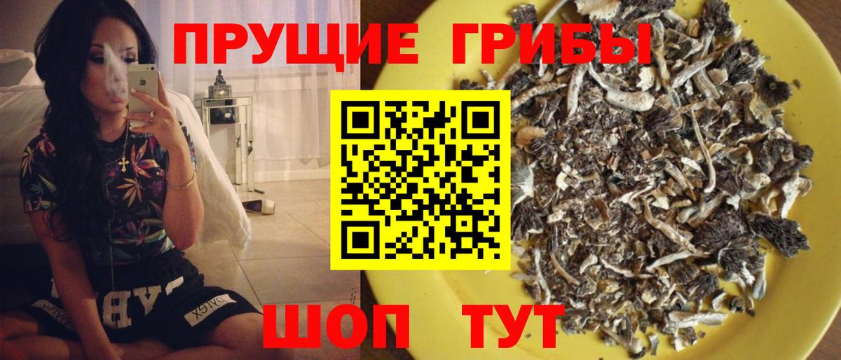 Псилоцибиновые грибы мухоморы  Вход с VPN  Дербент  Псилоцибиновые грибы Psilocybe 