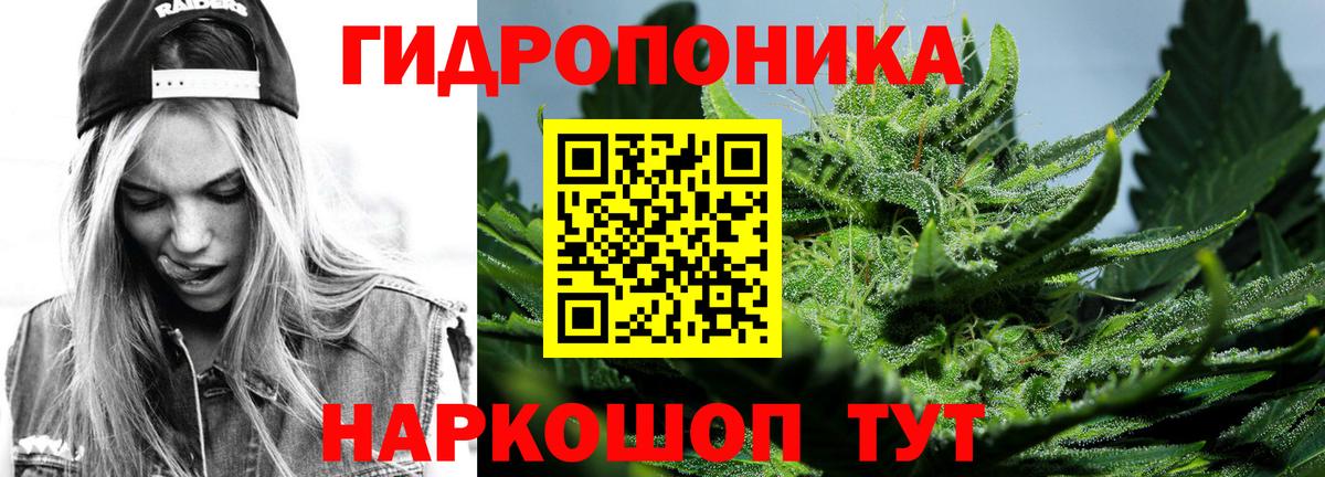 Каннабис план Дербент
